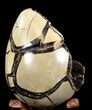 Septarian Dragon Egg Geode - Black Crystals #37293-4